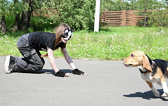Без детей и хлопушек: Зооюрист призвала внимательно составлять договор аренды собак
