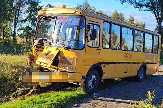 Под Калининградом школьный автобус врезался в дерево