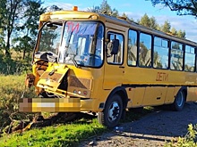 Под Калининградом школьный автобус врезался в дерево