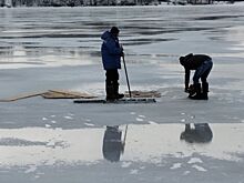 Два мужчины вырезали в Костроме крещенскую купель для эгоистов