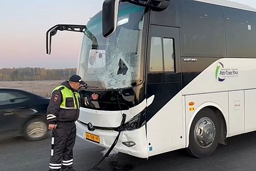 Автобус насмерть сбил мужчину на трассе под Екатеринбургом