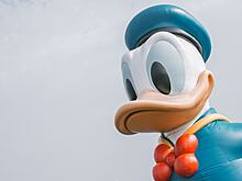 Портрет Дональда Дака появился на поле под Вероной к 100-летию Walt Disney