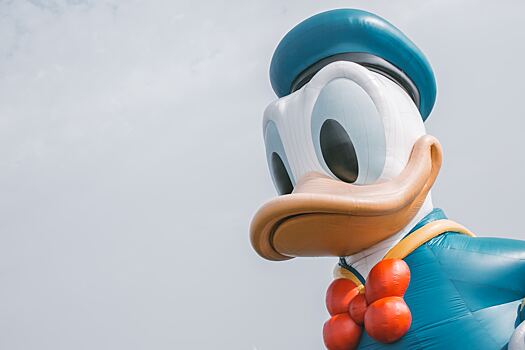 Портрет Дональда Дака появился на поле под Вероной к 100-летию Walt Disney
