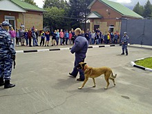 Школьникам Южного Бутова рассказали, какие собаки служат в полиции