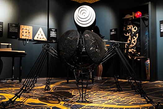 В Полярном флигеле Шереметевского дворца проходит выставка "Дом занимательной науки"