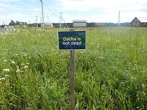 И хочется, и колется: какие недостатки дачной жизни пугают россиян