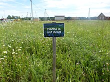 И хочется, и колется: какие недостатки дачной жизни пугают россиян