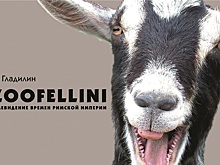 Спектакль о медиазависимости "ZOOFELLINI"
