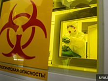 Вирусолог Чепурнов объяснил природную стойкость сибирской язвы