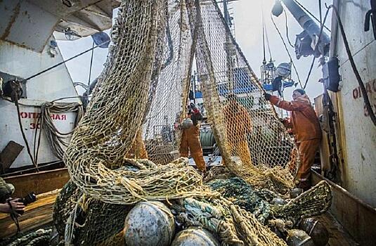 В Приморье растет производство рыбной продукции
