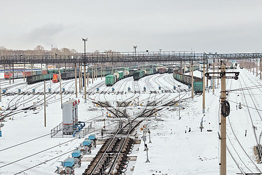 Полиция сняла с поезда Санкт Петербург – Новокузнецк пассажиров за неприличное поведение