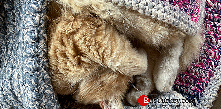 Турция нарастила экспорт одеял и печей в Европу