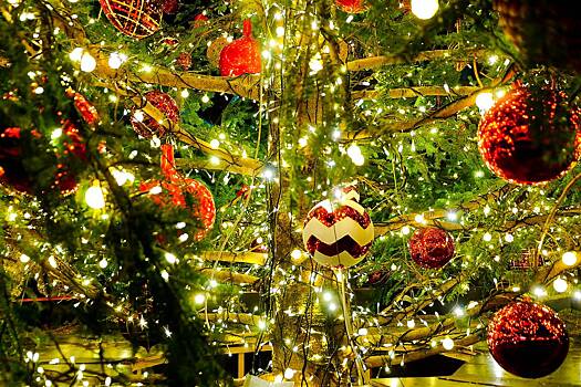 Россиянам дали советы по украшению елки к Новому году