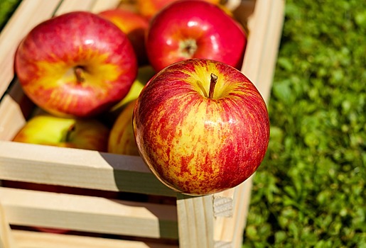 В Омской области уничтожили 40 тонн яблок из Польши