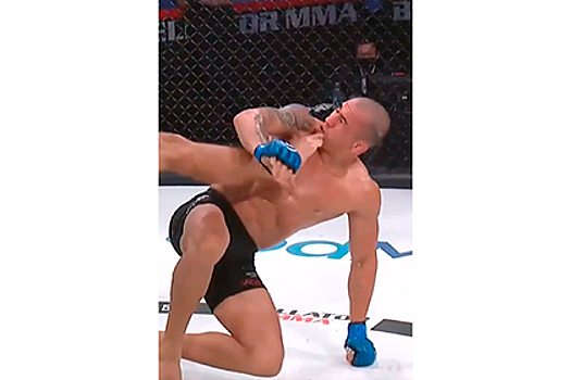 Боец MMA нокаутировал соперника ударом ногой в голову