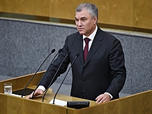 Спикер Госдумы осудил слова британского посла о борьбе России с пандемией