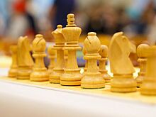 Кто и как помогает развивать шахматный спорт в Удмуртии?