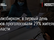 В первый день выборов проголосовали 29% жителей Ленобласти: данные Леноблизбиркома на 18:00