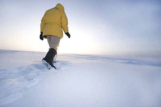 Учёные исследовали влияние одиночества на мозг, наблюдая за полярниками
