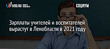 Зарплаты учителей и воспитателей вырастут в Ленобласти в 2021 году