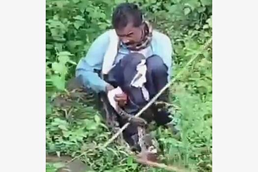 Четырехметровый питон попытался задушить справляющего нужду человека и попал на видео