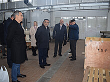 Зарубежные дипломаты посетили конный завод в Целинском районе