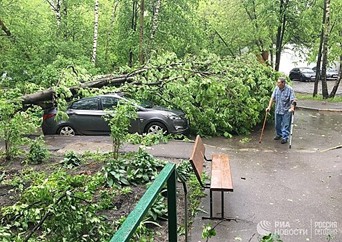 Ураган в Москве: сколько стоит застраховаться?