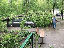 Ураган в Москве: сколько стоит застраховаться?