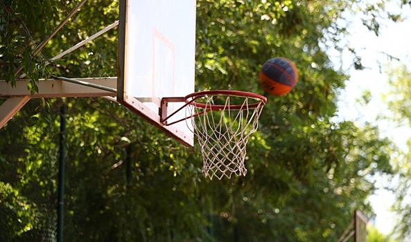 Волгоградцев на День города ждут состязания «Страна чемпионов» в ЦПКиО