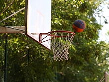 Волгоградцев на День города ждут состязания «Страна чемпионов» в ЦПКиО