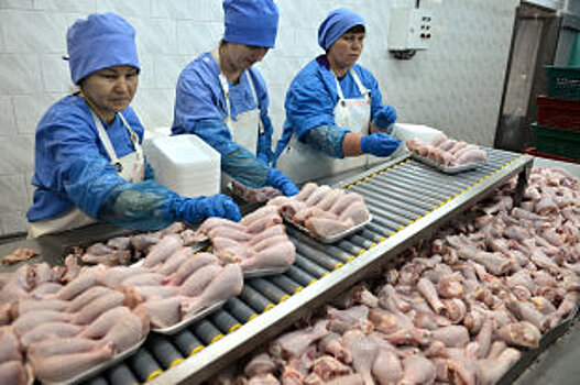 Прогноз: Экспорт мяса индейки из России вырастет в 28 раз