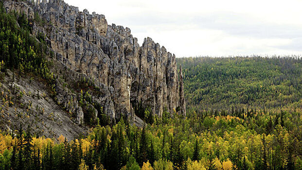 Сибирский шелкопряд захватил более 50 тысяч гектаров якутских лесов