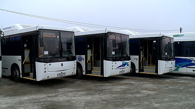 Ростовчане стали чаще пользоваться общественным транспортом