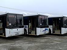 Ростовчане стали чаще пользоваться общественным транспортом