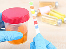 Разработаны новые правила получения водительских медсправок