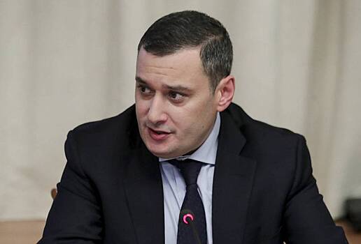 Хинштейн заявил о необходимости «коррупционного очищения власти» в Курской области