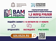 Шесть инициатив предлагают реализовать жители Московского района по проекту «Вам решать!»