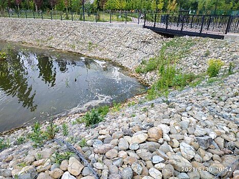 Из-за жары обмелел пруд в сквере Марины Расковой в Саратове