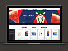 Александр Румянцев инвестировал в платформу-аукцион Watermelon.su