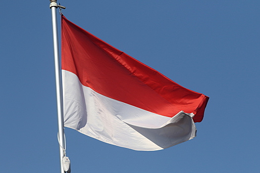 Скандальная порнозвезда оскорбила флаг выславшей ее Индонезии