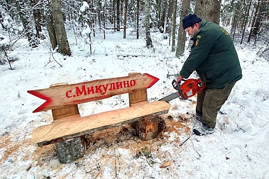 В подмосковных лесах выросло число лавочек-навигаторов