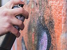 В Ростове прошла акция «Очистим наши улицы»