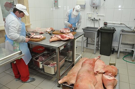 В Правительстве региона презентовали программу «Ярославский фермер»