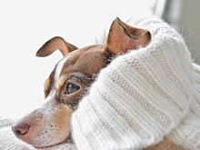   Во вторник в Удмуртии будет преимущественно без осадков  