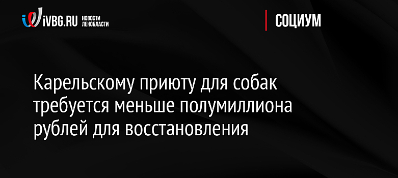 Карельскому приюту для собак требуется меньше полумиллиона рублей для восстановления