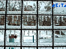 Оттепели возможны на юге Приморья на следующей неделе