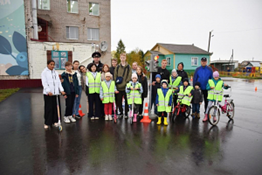 Госавтоинспекторы Владимирской области продолжают пропаганду дорожной безопасности в рамках масштабного профилактического мероприятия «Внимание, дети!»