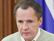 Губернатор Белгородской области Гладков признал наличие проблемы невыплат алиментов мобилизованными