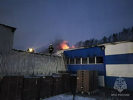 В пожаре в Посегово сгорела крыша склада