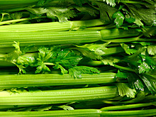 Врачи объяснили, почему еда не может сжигать калории